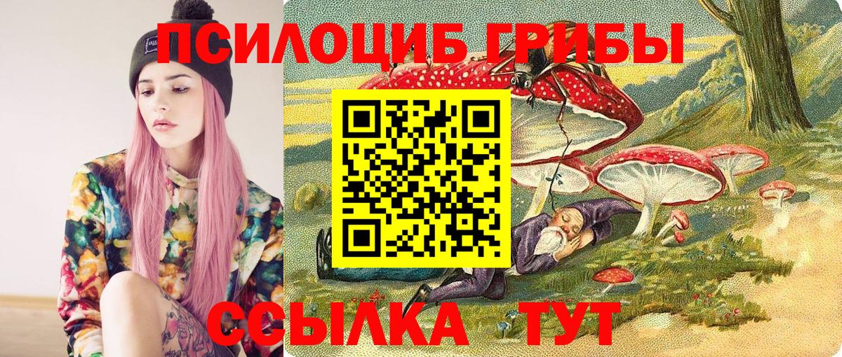 Янаул  Галлюциногенные грибы прущие грибы  Вход с VPN 